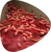 Bekämpft die Ursache